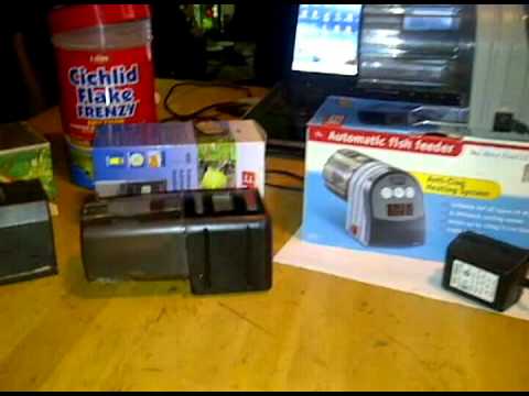 Automatic Fish Feeders Youtube