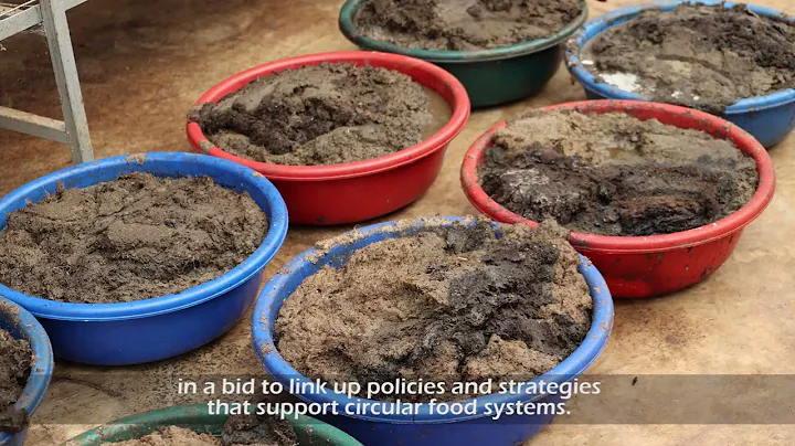 Circular Food Systems for Rwanda