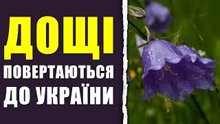 В Україну повертаються дощі: синоптик назвала точну дату