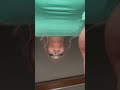 美容室の音💕#ASMR