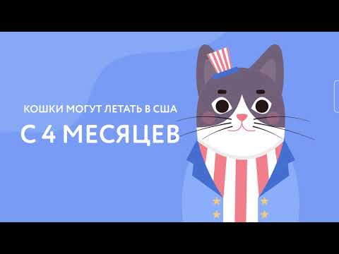 Правила перевозки животных в США