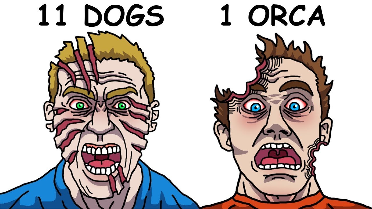 أكثر حالات الوفاة المؤلمة في حدائق الحيوان على الإطلاق😱💀