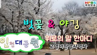 위로의말한마디 / 인천대공원 벗꽃야경 / 고영아찬양사역자 / ccm찬양  - 화평방송HPBS