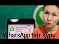 WhatsApp бот құру / WP Business қыр-сыры