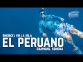 Snorkel en la isla el peruano de Guaymas Sonora