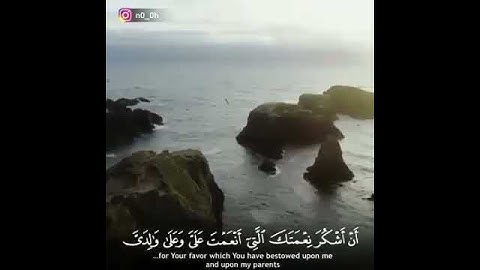 {حتى إذا أتوا على وأد النمل قالت نملة} سورة النمل الوصف ⤵👇