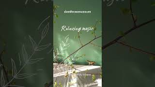 เพลงบรรเลงผ่อนคลาย #Lofi instrumental music #relaxingmelody #relaxing