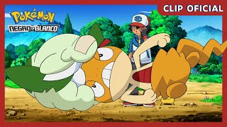 Scraggy y Cottonee | Pokémon Negro y Blanco | Clip oficial
