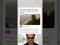 Hulks Progression of Power and Character Through MCU Films
