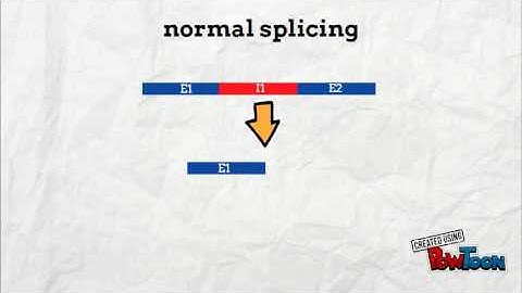 trans splicing