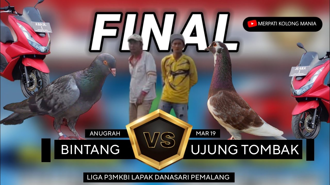 SERU ‼️ FINAL UJUNG TOMBAK mar 19 KENA B00M BINTANG anugrah || Liga P3MKBI Lapak DANASARI Pemalang