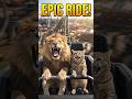 When you take a lion and a cat on a roller coaster 🎢🦁🐱#rollercoaster #cat #funny #lion #comedy