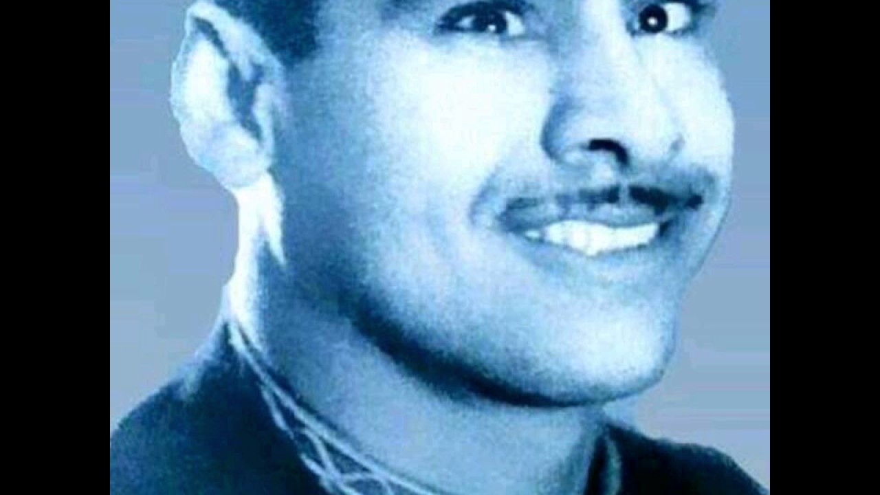 الجميلي هادي