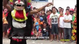 SGA Tari Kucingan live Kabat
