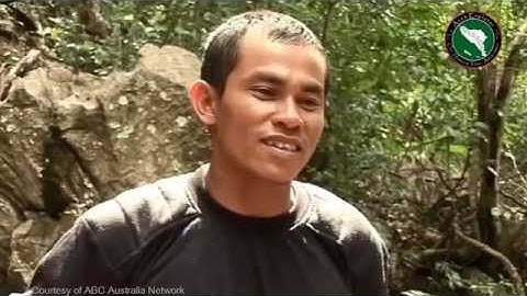 Guerrilla Adventure Eco-Tourism in Aceh (Best Version)