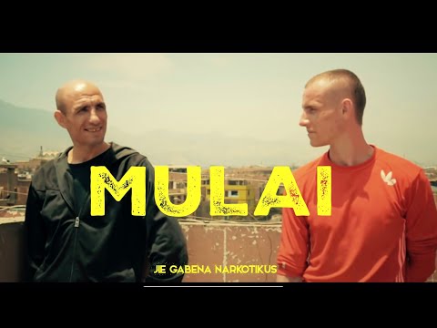 Dokumentinis filmas - MULAI