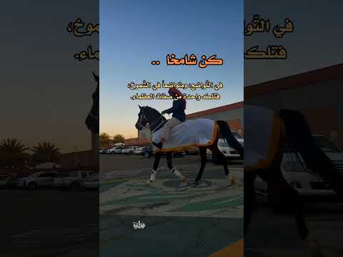 كن شامخا في التواضع ومتواضعا في الشموخ محمد النويرة تصويري التواضع الشموخ