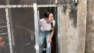 工廠二臺水泵電機被偷,請來焊工升級全廠保護措施,看到最後的效果老闆娘都笑了 Guide