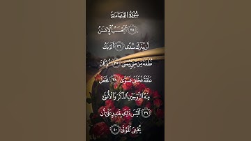 سورة القيامة أيحسب الإنسان ان يترك سدى ألم يك نطفة من مني يمنى الاية ٣٦ إلى الآية ٤٠