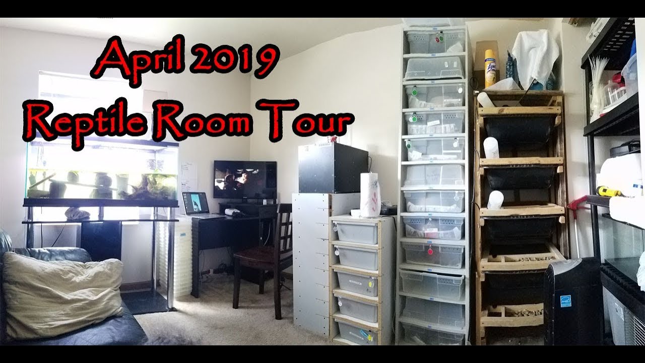 enchilada sauce brands April 2019 Reptile Room Tour