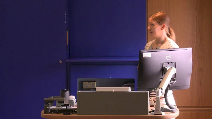 Christina Duffy at DigiPal V (King's College Londo...