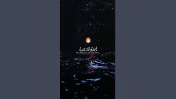 الشيخ ياسر الدوسري|سورة الحج