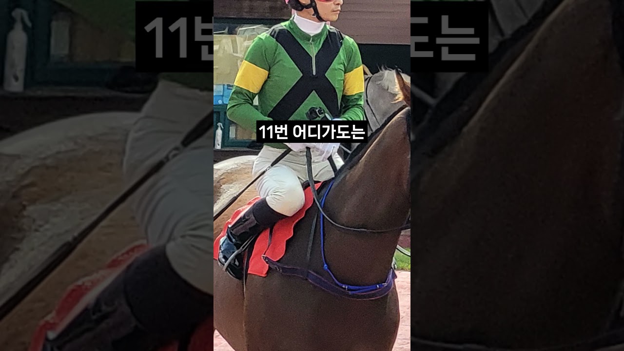 26.01.18 서울경마 01경주