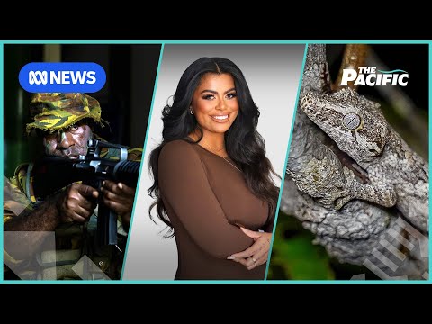 Gecko smugglers and Drew Afualo claps back at online bullies | The Pacific | ABC News Episode cover