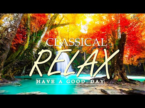 Classical music for studying 🌿 Classical music for relaxation, music for reading music, lofi study