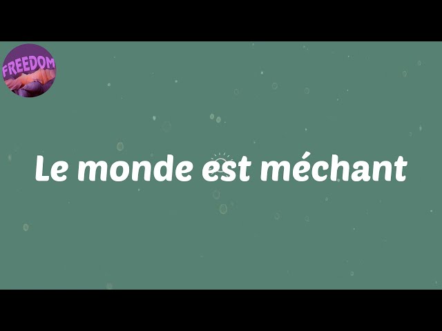 (Lyrics) Le monde est méchant - Niska