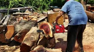 STIHL 460 HUSKY 372 SOLO 7910 EFCO 81CC