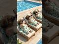 Bokdori’s Perfect Vacation Day | Walking, Swimming &amp; Family Fun at the Pension