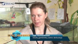 Infostudija 2015-05-12