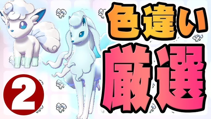 助けて 色違いのアローラロコンを孵化させたい ポケットモンスター ソード シールド を実況プレイ ポケモン剣盾 Youtube