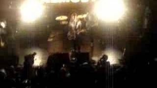 The Almost - Everyone Here Smells Like A Rat Profile