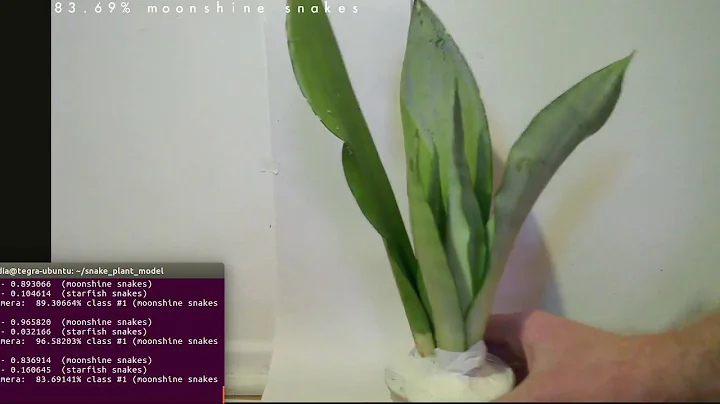 Udacity Robotics Nanodegree Term 2 Inference Project - Plant Identifier