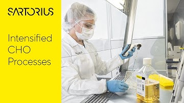 The Development of Intensified CHO Processes | Dirk Müller in an Interview with Miriam Monge