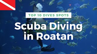 Top 10 Scuba Dives in Roatan