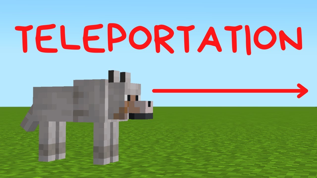 Why Is My Minecraft Dog Not Teleporting To Me? Troubleshooting Guide