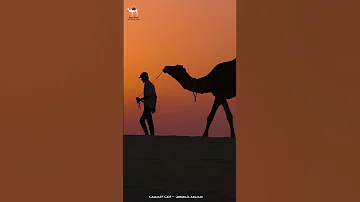 انت الحبيب محمد خميس المعجاوي بدوي اكسبلور خيمه بدويه 