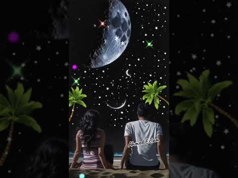 القمر من فرحنا هينور أكثر والنجوم هتبان لينا أجمل وأكبر أم كلثوم
