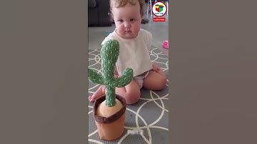 video lucu 🤣🤣 bayi dan boneka kaktus 🤣 #short #funny #cute #cutebaby #kotakajaib