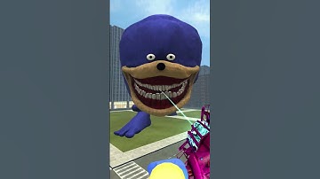 NEW THE SONIC TAPES VS THE SHADOW TAPES In Garry