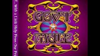 Gov't Mule - 30 Days in the Hole.wmv chords