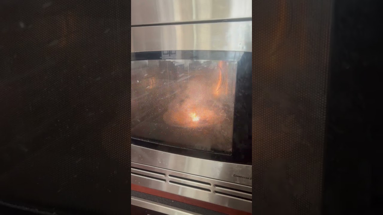 A Bowl Catching on Fire in a Microwave Oven!