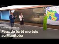 Ref:FMXT6o74GGg Feux mortels au manitoba : le point sur la situation et la m�t�o