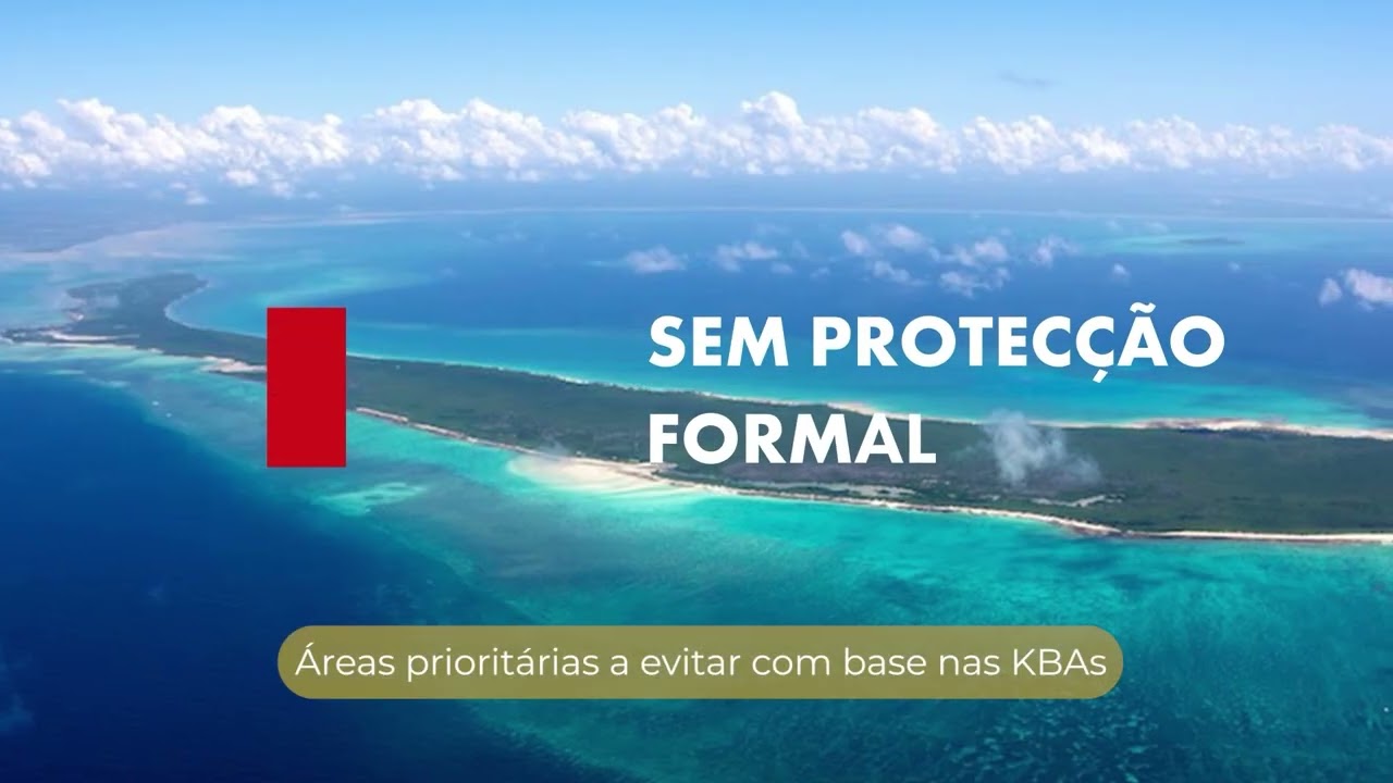 Результаты программы COMBO+ в Мозамбике