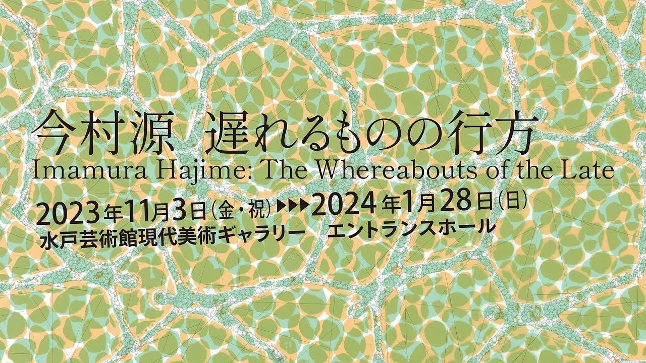 自然が描いたフォルム。伊予の自然が育てた作家物かずら編みです。唯一無二。 今村源 遅れるものの行方」展｜現代美術ギャラリー｜水戸芸術館