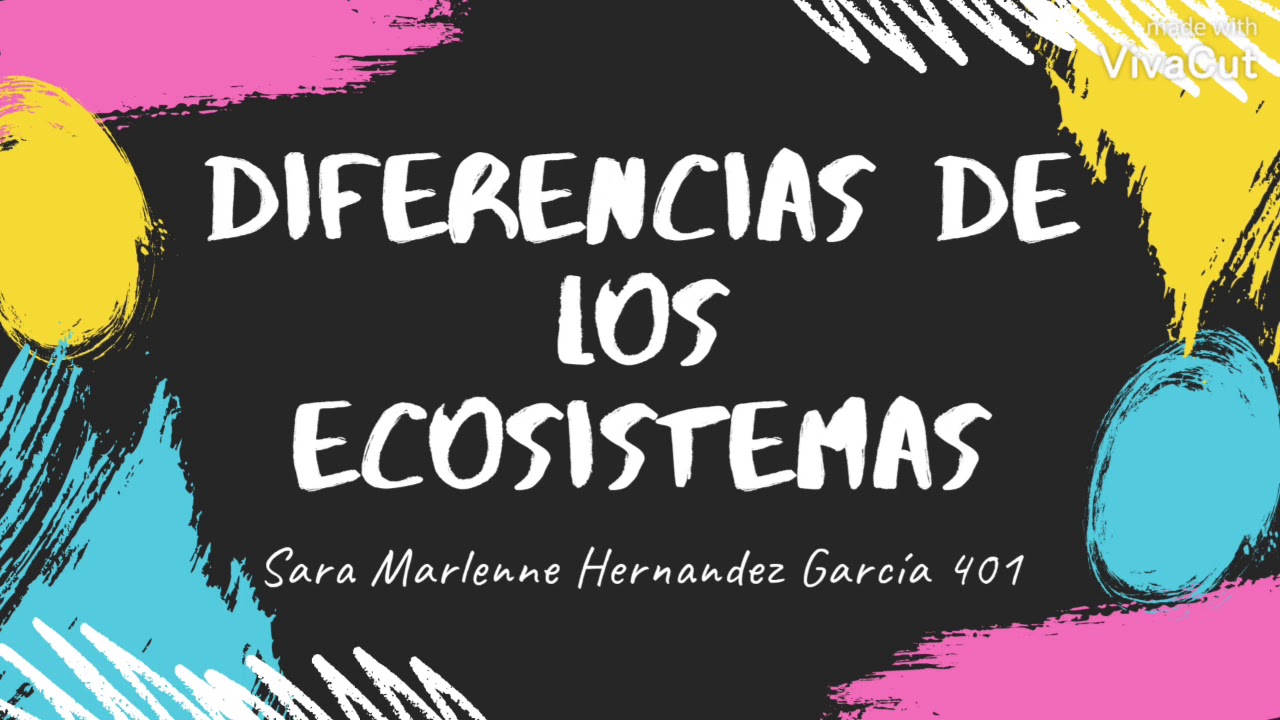 Cuales son las diferencias entre los ecosistemas natural rural y urbano