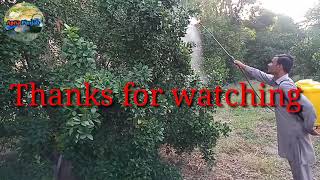 Agriculture spry pump demo | battery charging spry mashin |High presure pump|village life  works |